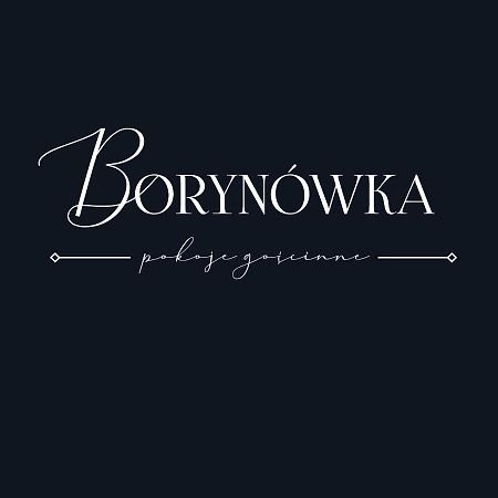 Willa Borynowka คาชิเมียร์ซ ดอลนี ภายนอก รูปภาพ